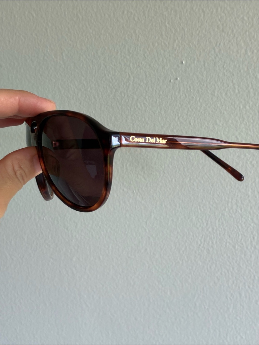 Costa Del Mar Women's Tortoise Frame Sunglasses - Dark Brown Lenses